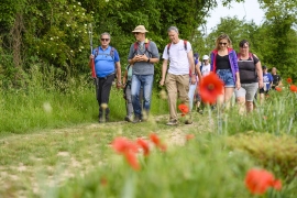 Champagne LECLERE-TORRENS - 