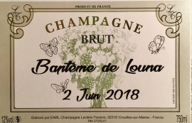Champagne LECLERE-TORRENS - 