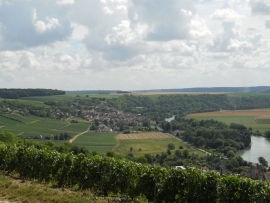 Champagne LECLERE-TORRENS - 